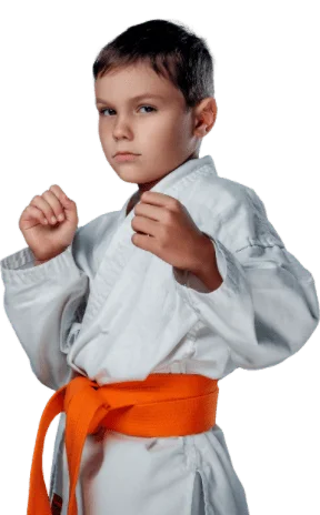 Image of Judo Athlete 3